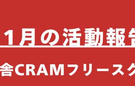 【11月の活動報告】